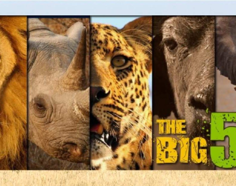 3 Days Big Five