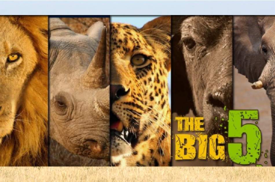 3 Days Big Five