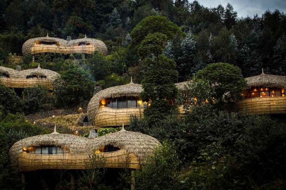 5 Days Double Gorilla Safari